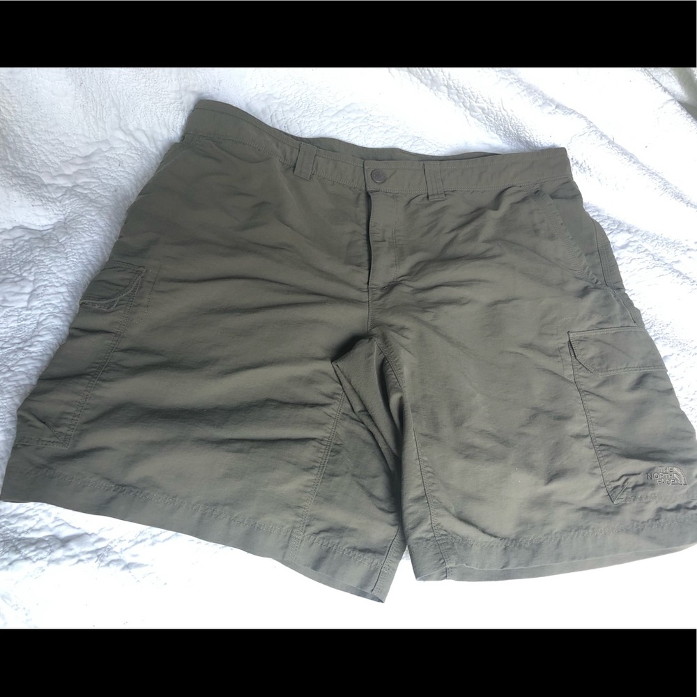Size 40  Dark Brown North Face Cargo Shorts